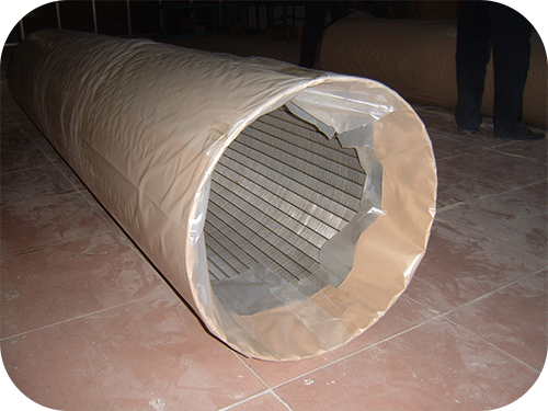 Wedge Wire Screensingloimeg (6)